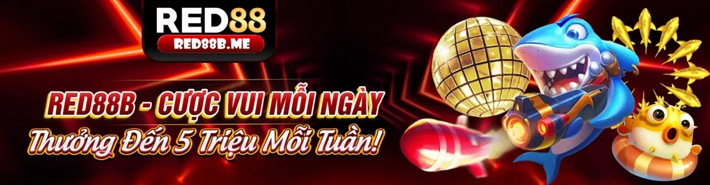 Tổng quan về N66 WIN, nền tảng giải trí trực tuyến hàng đầu