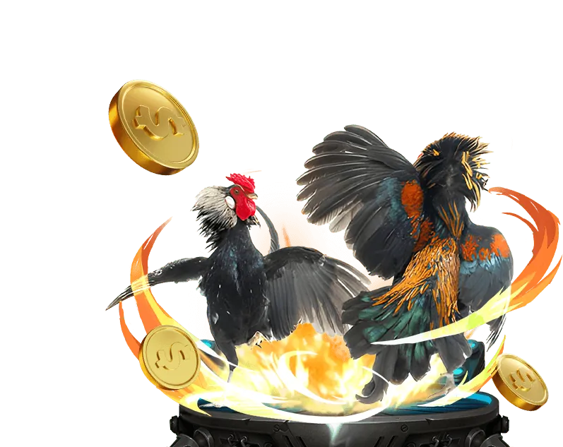 Cá cược bóng rổ N66 WIN