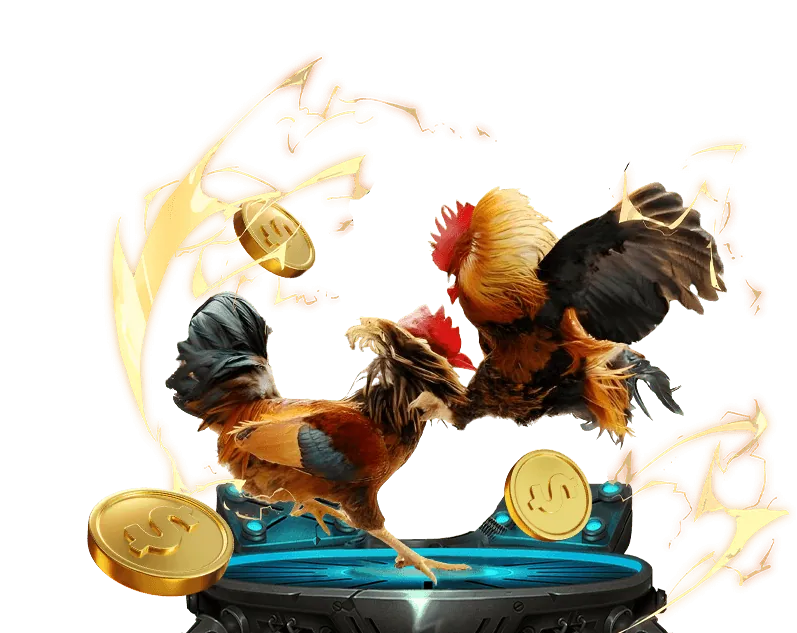 Cá cược Esports N66 WIN